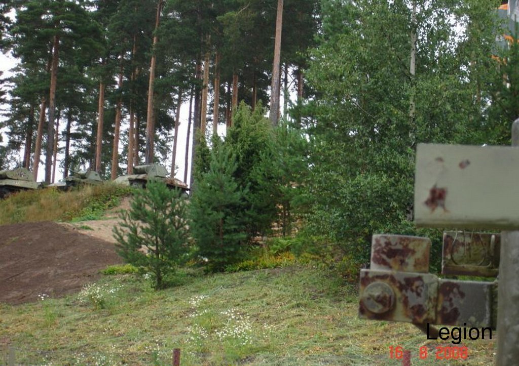 319.jpg