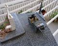 DSC00186
