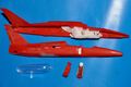 Gnat_02
