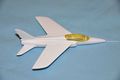 Gnat_05