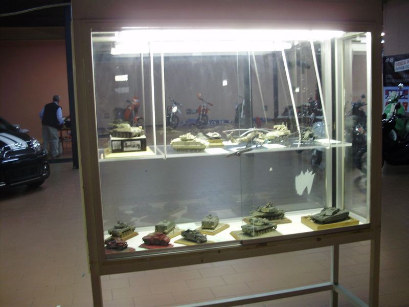 P1010173 (Copia)