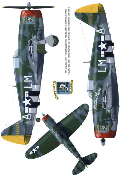 P-47D-22-RE ButtonNose