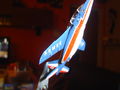 DSC00303