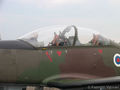 IMG_5899.jpg