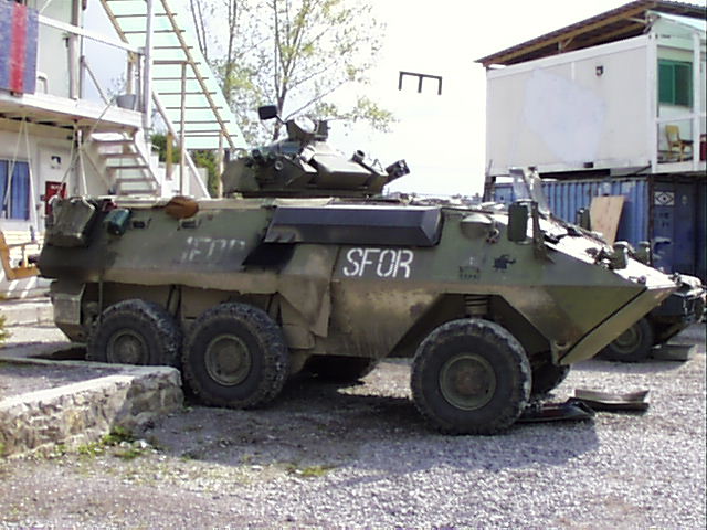 Grizzly1