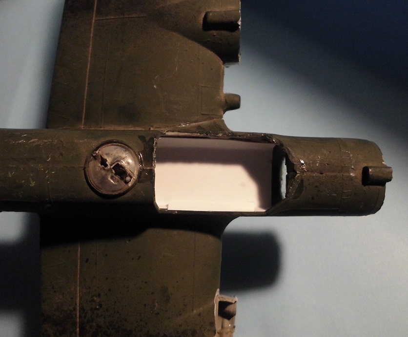 CIMG1107