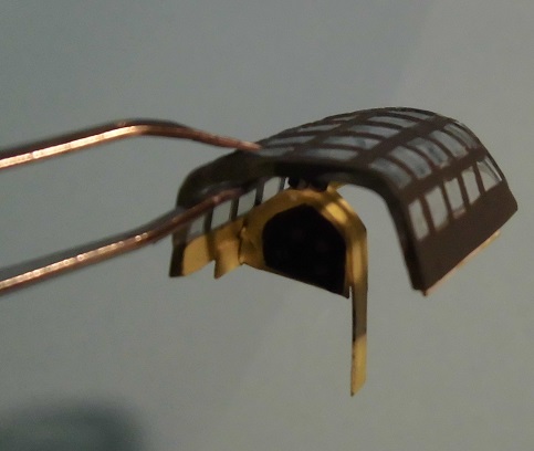 CIMG1133
