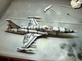 F5A_11