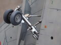 DSCN0631