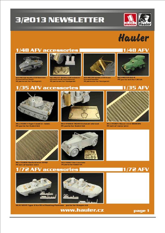 newsletters3 2013A