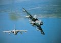 tornado kormorann