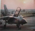 tornado ids 36-32