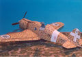 41_FIAT G50bis
