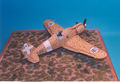 42_FIAT G50 bis
