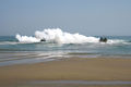 Copia di IMG_0331