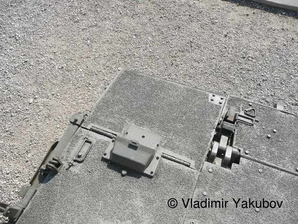 3586.jpg