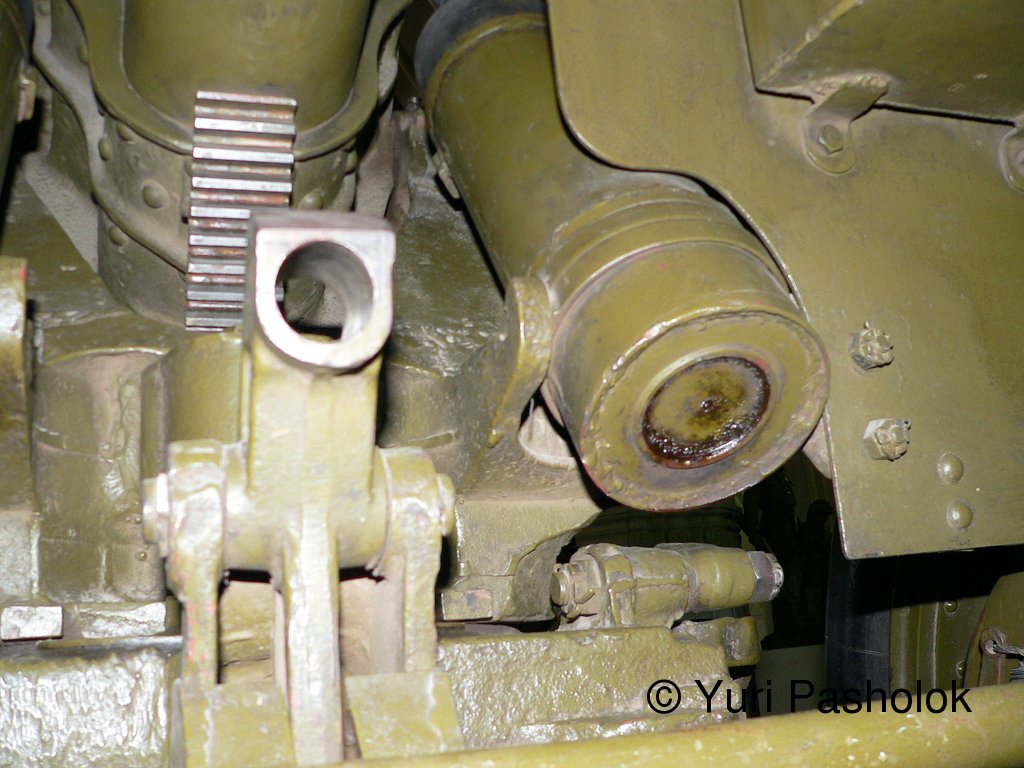 155.jpg