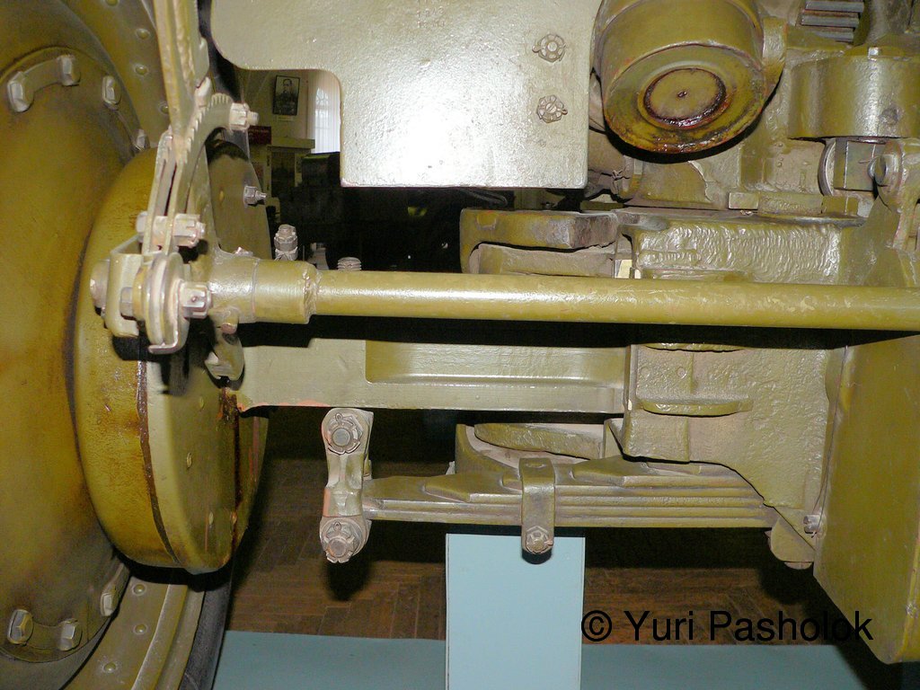 355.jpg