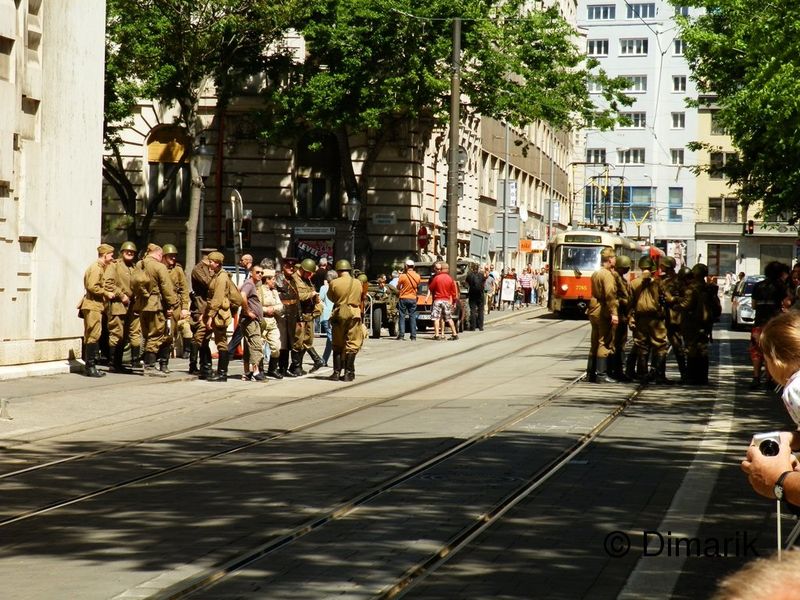 391.jpg