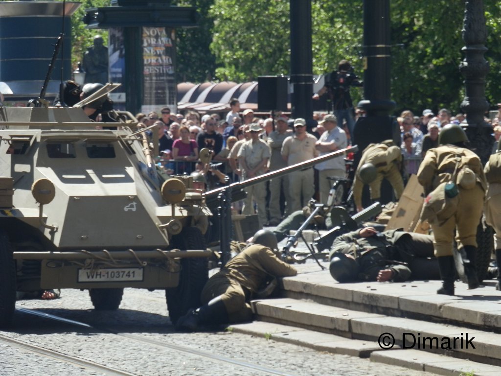 454.jpg