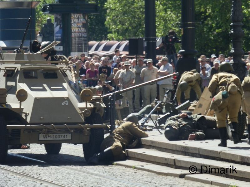 454.jpg