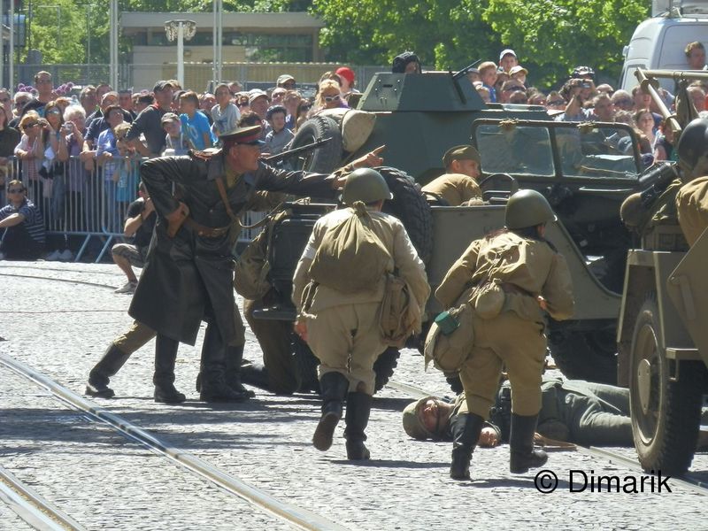 455.jpg
