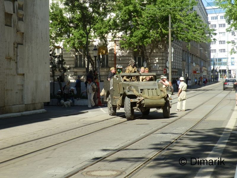545.jpg