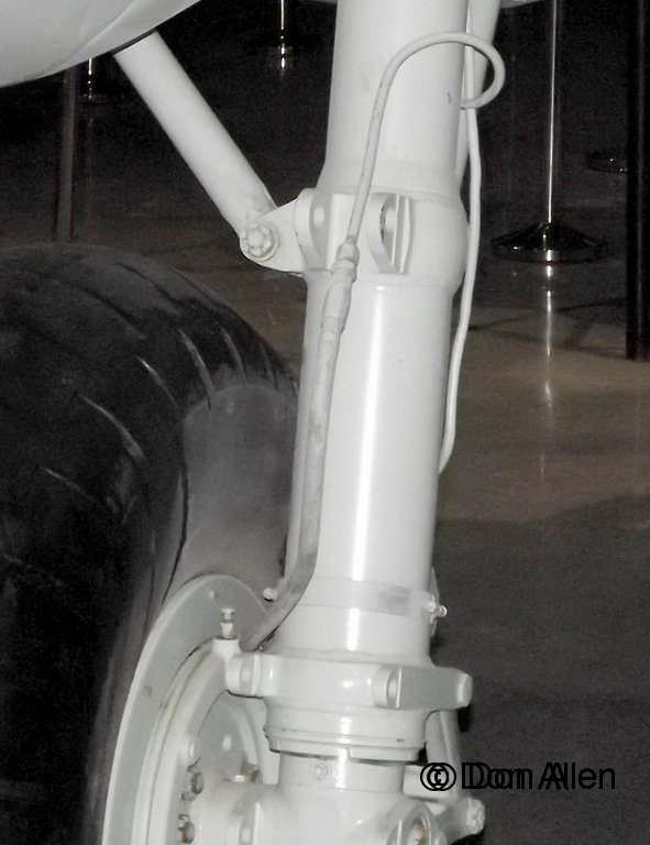 1127.jpg