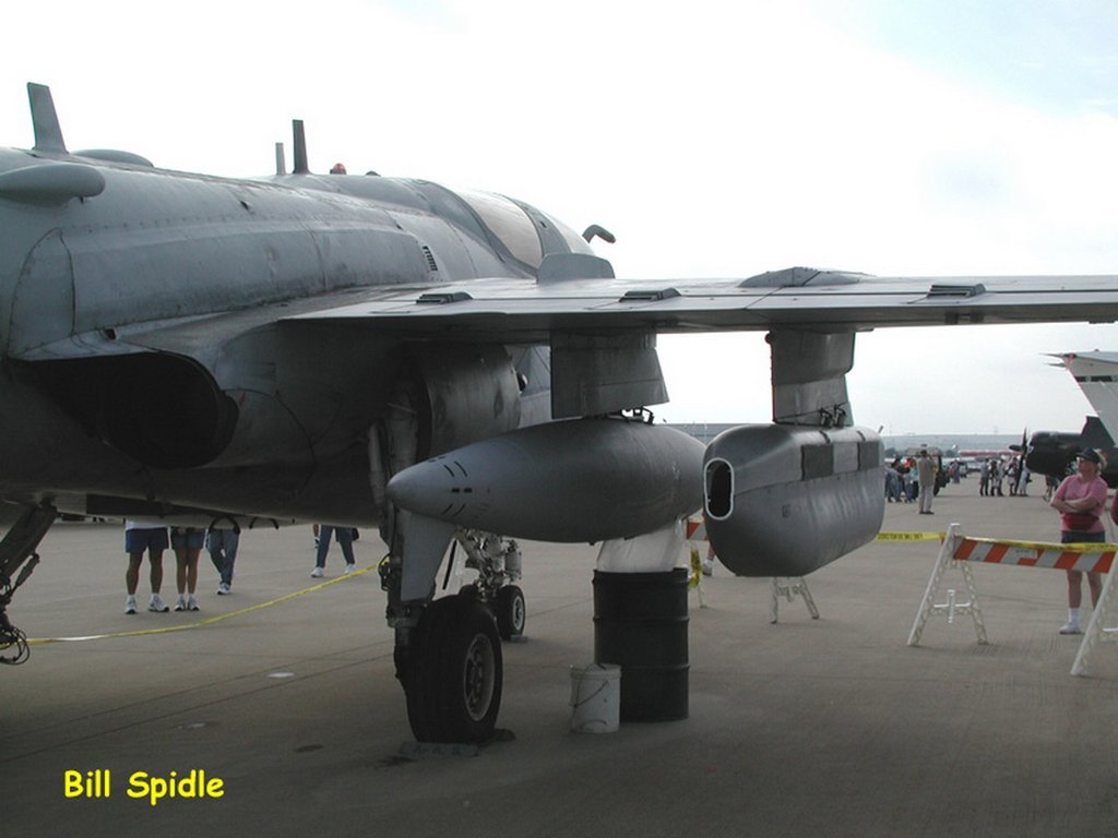 2663.jpg