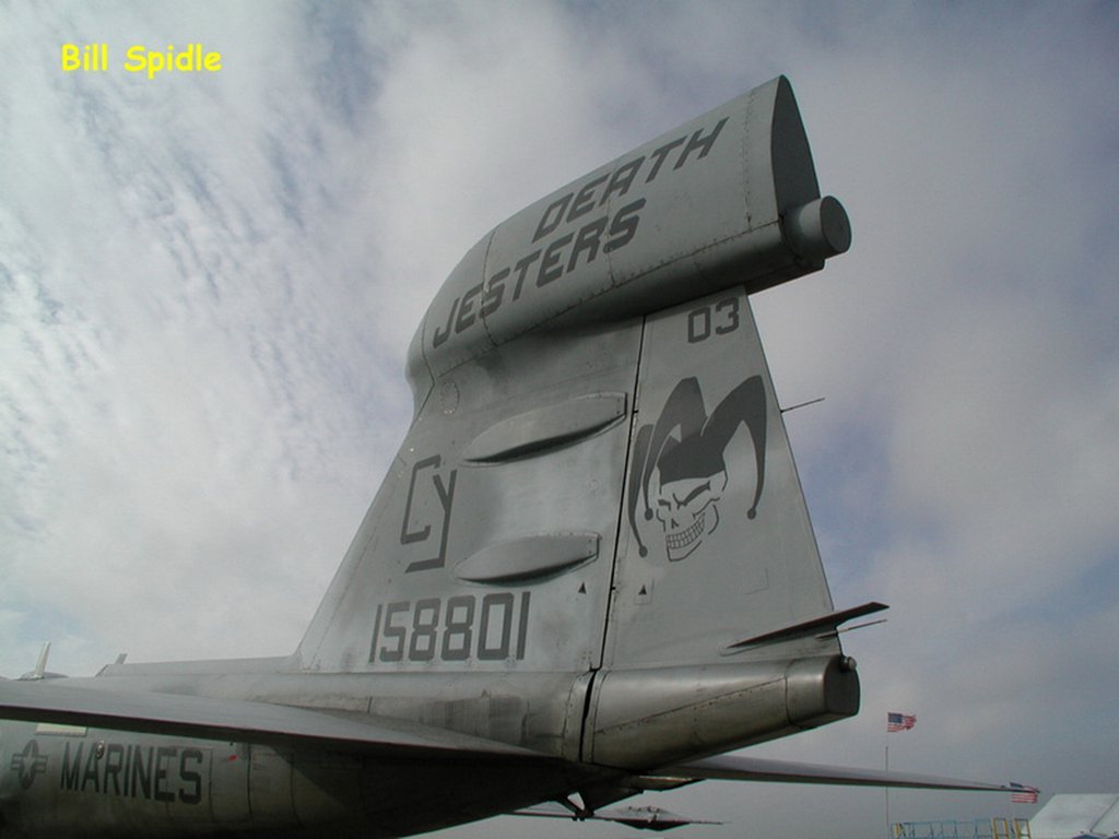 2667.jpg