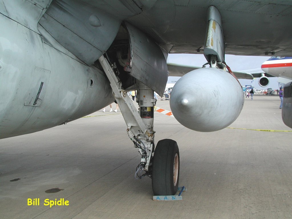 2676.jpg