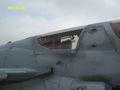 2685.jpg