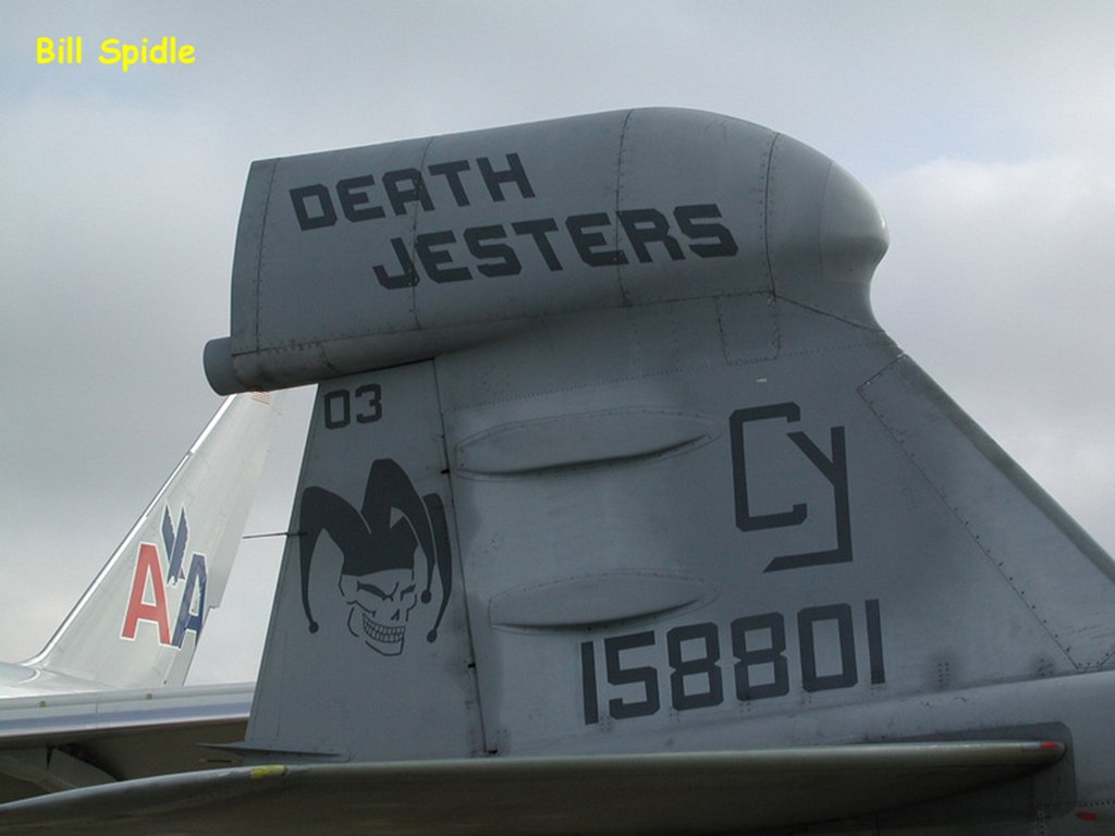 2719.jpg