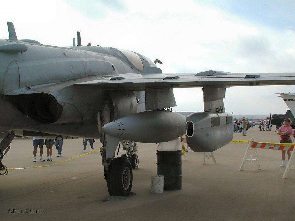 2773.jpg