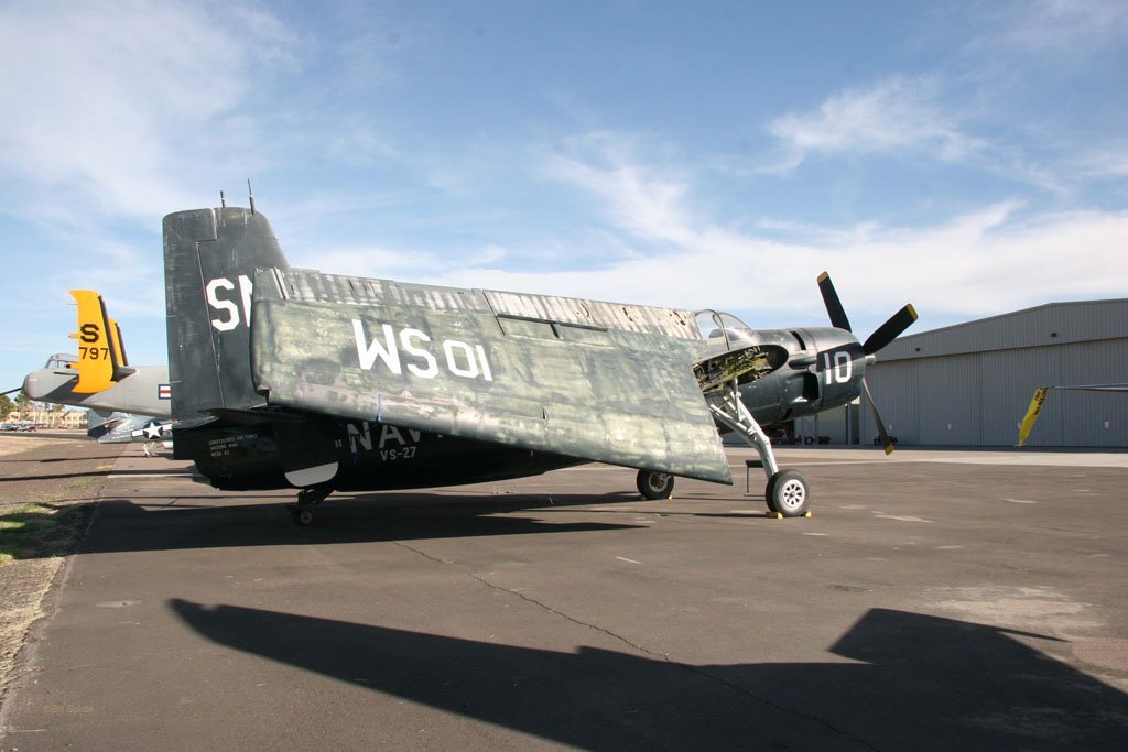 3151.jpg