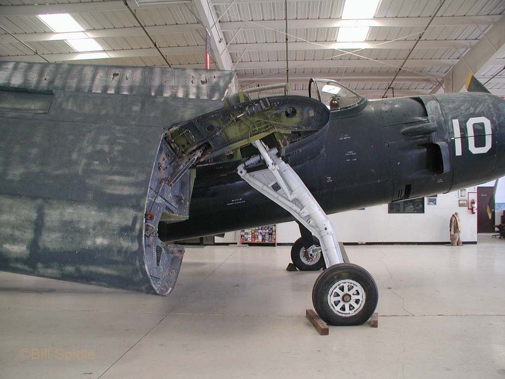 3155.jpg