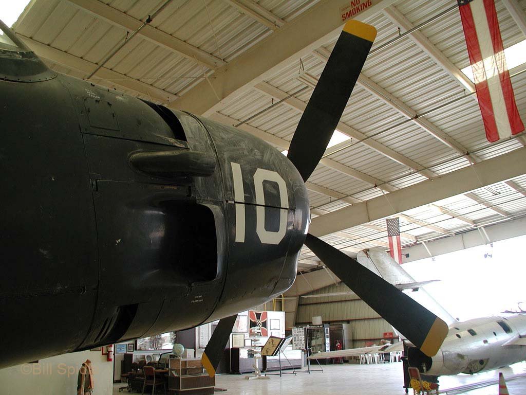 3156.jpg