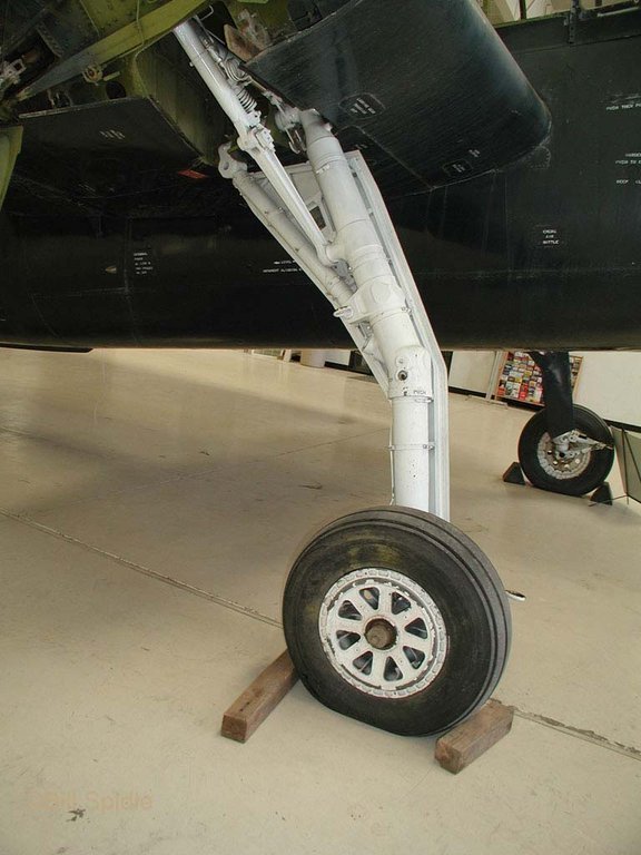 3157.jpg