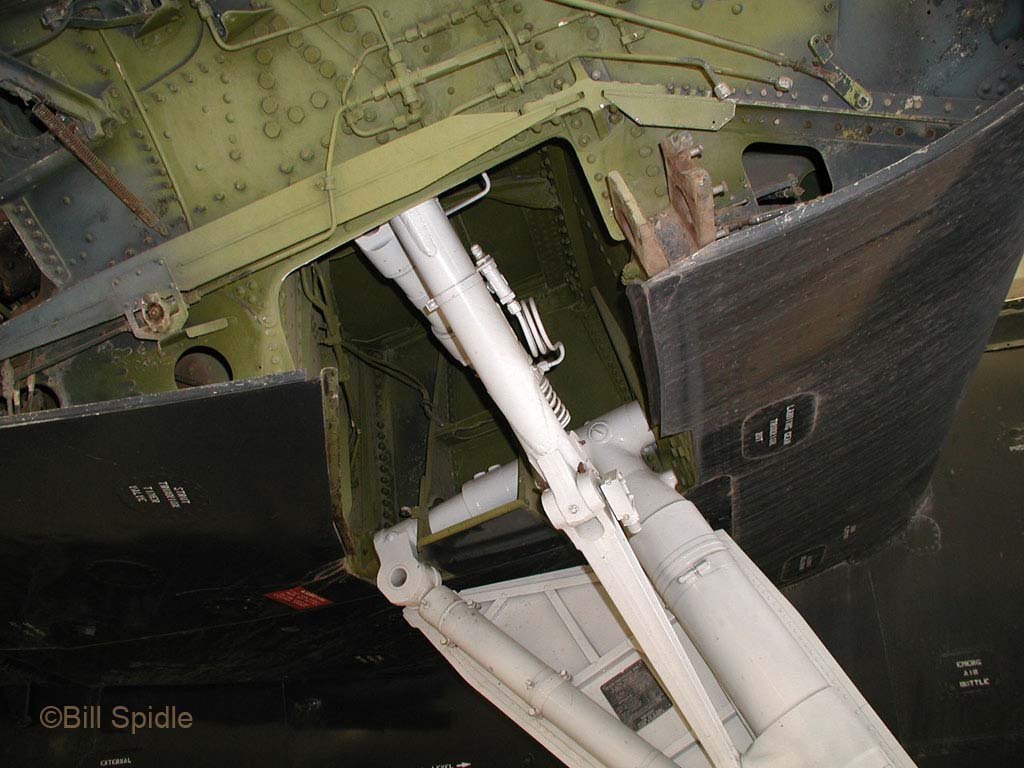 3158.jpg