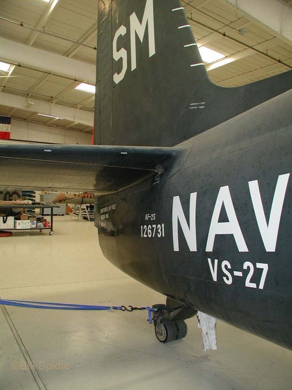 3171.jpg