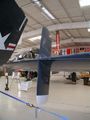 3172.jpg