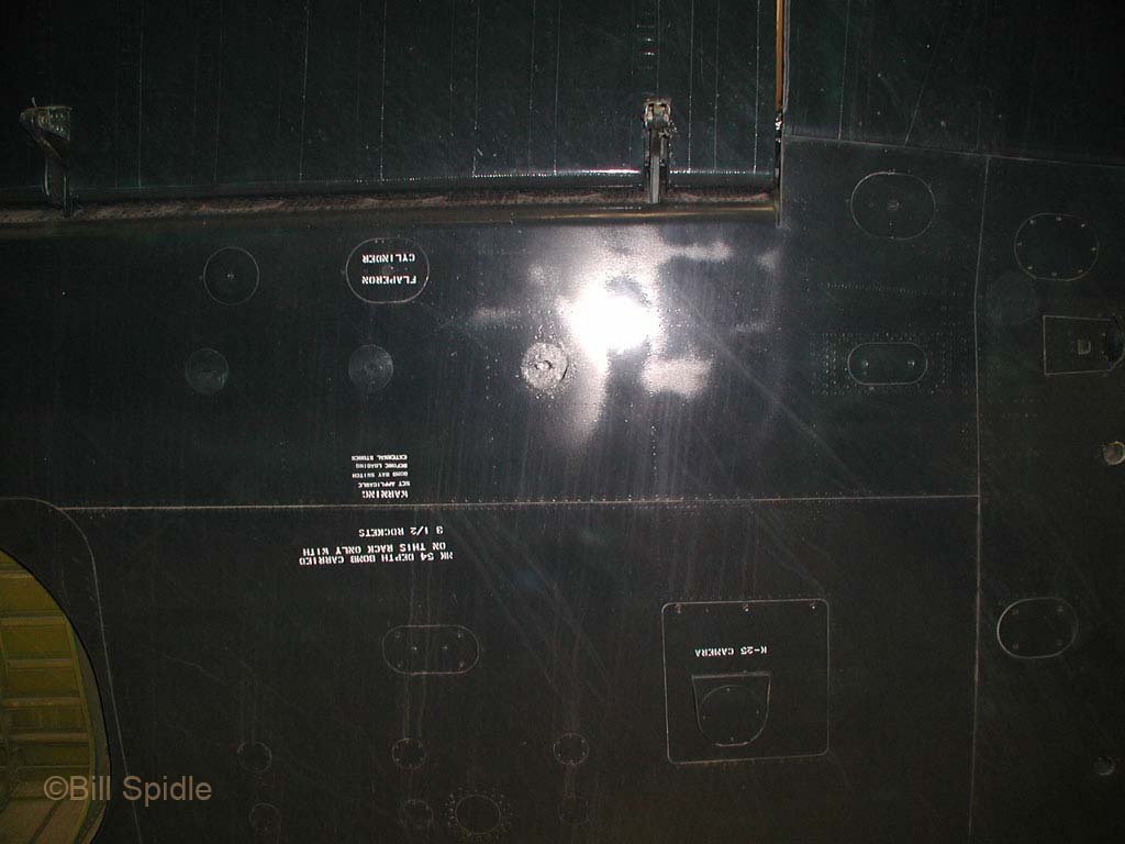 3174.jpg