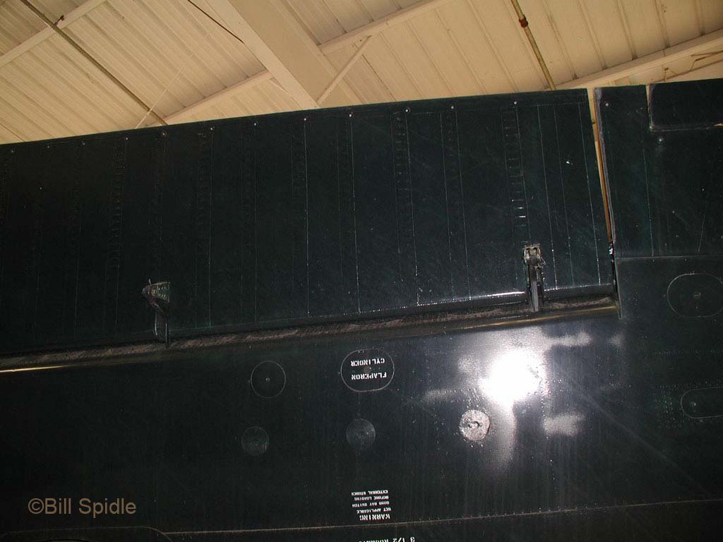 3176.jpg