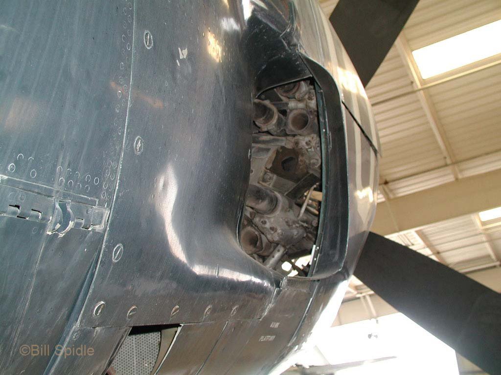 3180.jpg