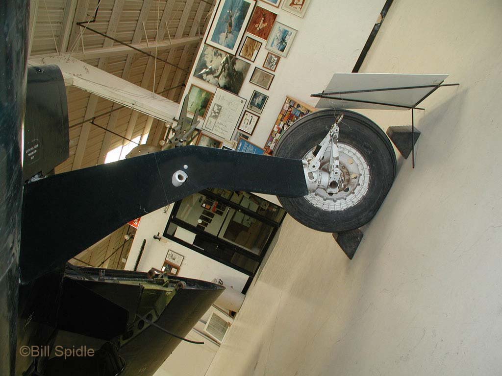 3181.jpg
