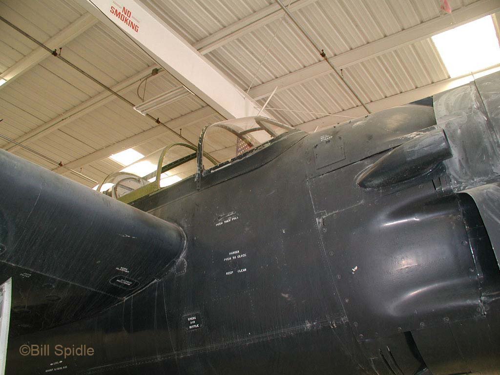 3184.jpg