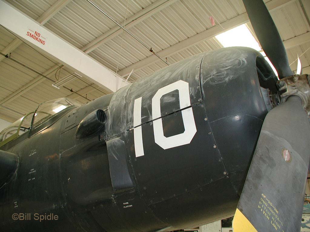3185.jpg
