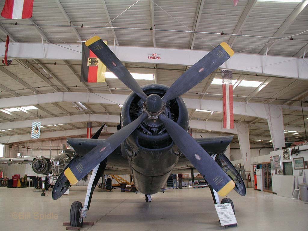 3186.jpg