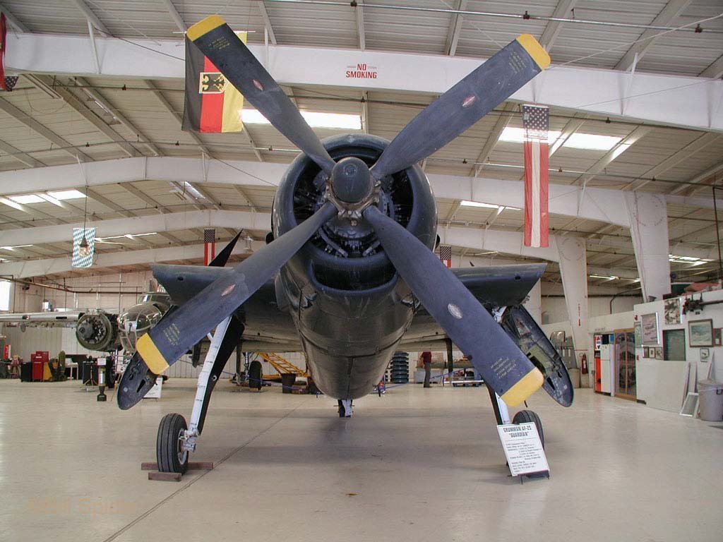 3187.jpg