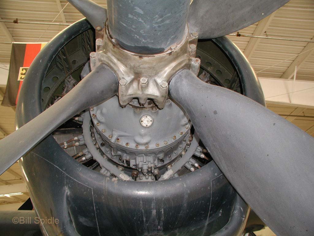 3189.jpg